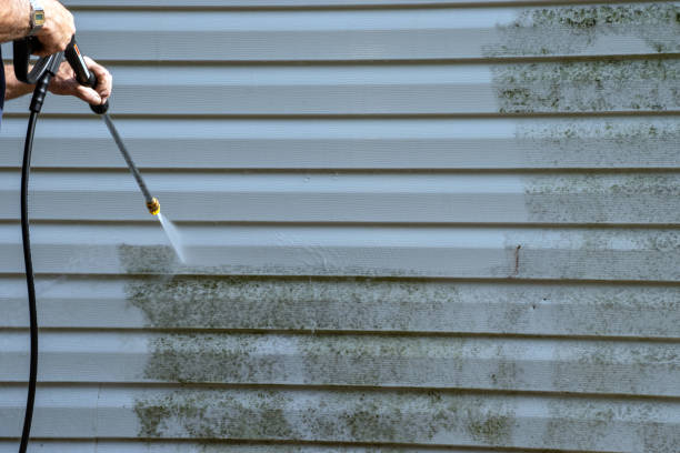 Best Hoarding Cleanup  in Jefferson, NC